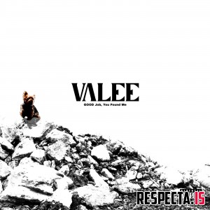Valee - GOOD Job, You Found Me [320 kbps / iTunes]