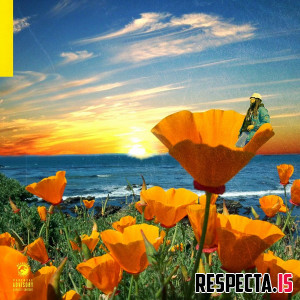 Rexx Life Raj - California Poppy 2