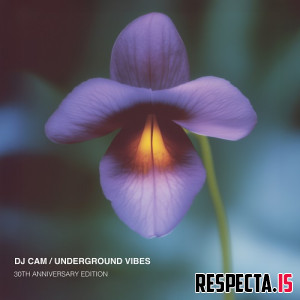 DJ Cam - Underground Vibes (30th Anniversary Edition)