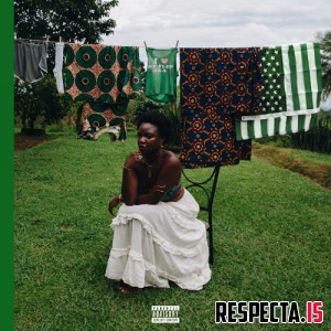 Adanna Duru - The Naijamerican Dream