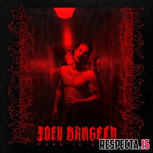 Joey Bargeld - Punk is dead