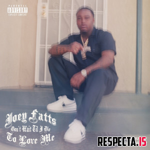 Joey Fatts - Don't Wait Till I Die To Love Me