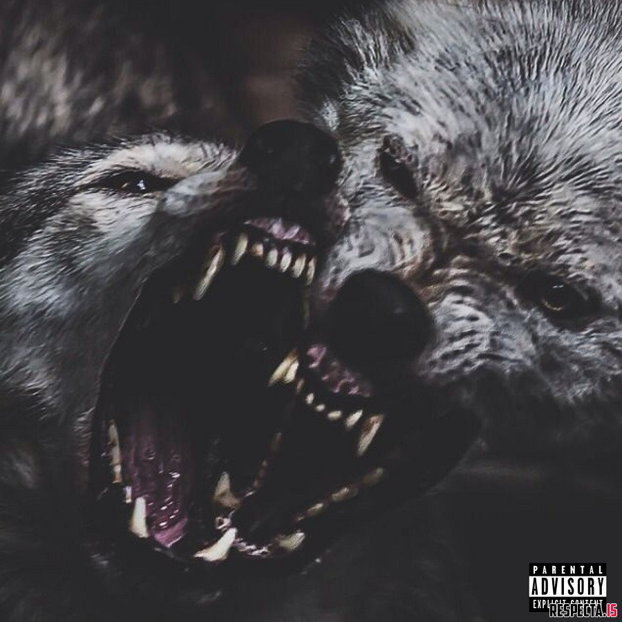 Dough Networkz & DJ Shay - Wolf Pack Vol. 1 » Respecta - The Ultimate ...