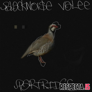 Valee & Black Noi$e - Partridge