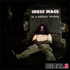 Seuss Mace - In a Perfect World