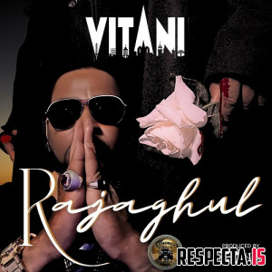 Vitani & The Mekanix - Rajaghul