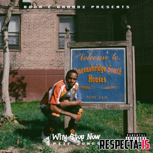 Piif Jones - Why Stop Now